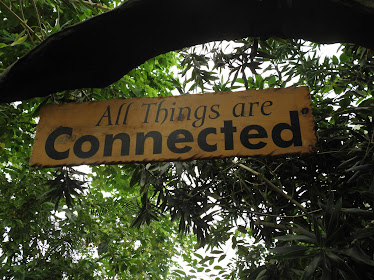 All Things Are Connected