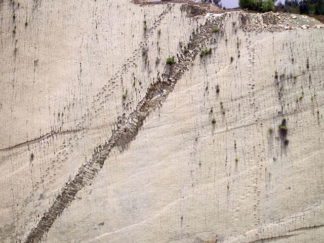 Bolivia Cal Orcko pared huellas de dinosaurio