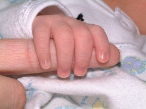 Tiny grasp - 3 day old baby holding mom's finger. Stock Photo credit: tracywade