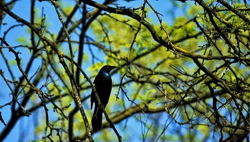 Pittsburgh Zoo 6