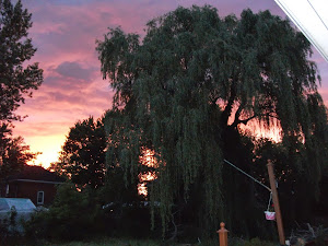 "Sunset Sky in Farm Country"
