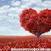 Happy Valentine day