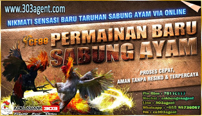 Agen Judi Sabung Ayam Deposit Termurah