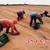 III etapa de Chavimochic no incorporará a pequeños agricultores