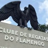 www.seuguara.com.br/incêndio/ninho do urubu/Flamengo/Ministério Público/