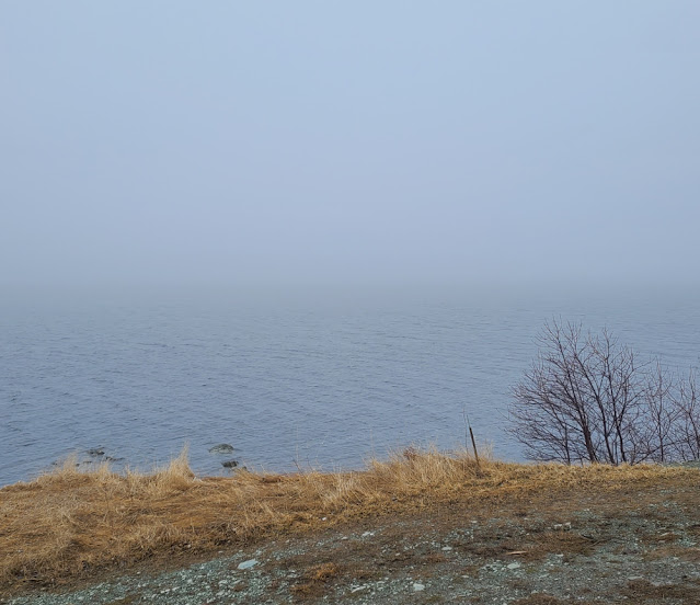 Foggy day view | DevotedQuilter.com