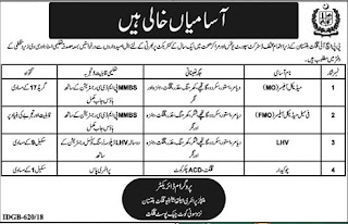 PPHI vacant positions