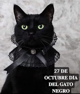 27 de octubre Día del Gato Negro