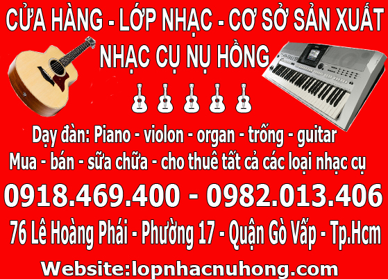 nhac cu hong nhung 3