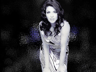 2012 Beautiful Actress Priyanka Chopra latest wallpapers