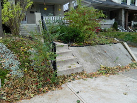 Upper Beaches Toronto Fall Cleanup Before by Paul Jung Gardening Services--a Toronto Organic Gardening Company