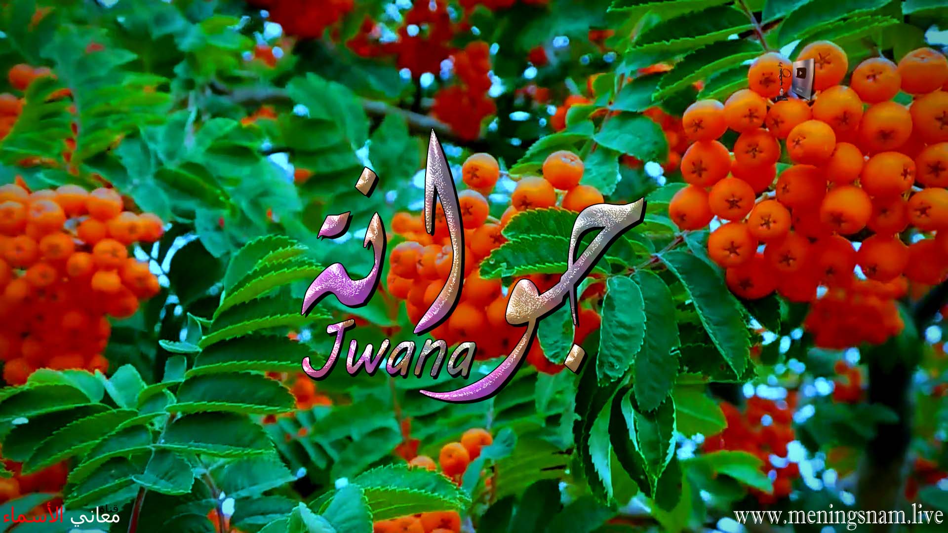 معنى اسم, جوانة, وصفات حاملة, هذا الاسم, Jwana,