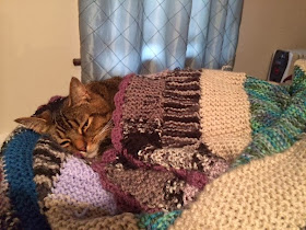 Funny cats - part 87 (40 pics + 10 gifs), cat covers with blanket