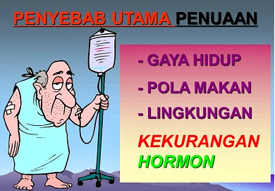 Penyebab penuaan pada manusia