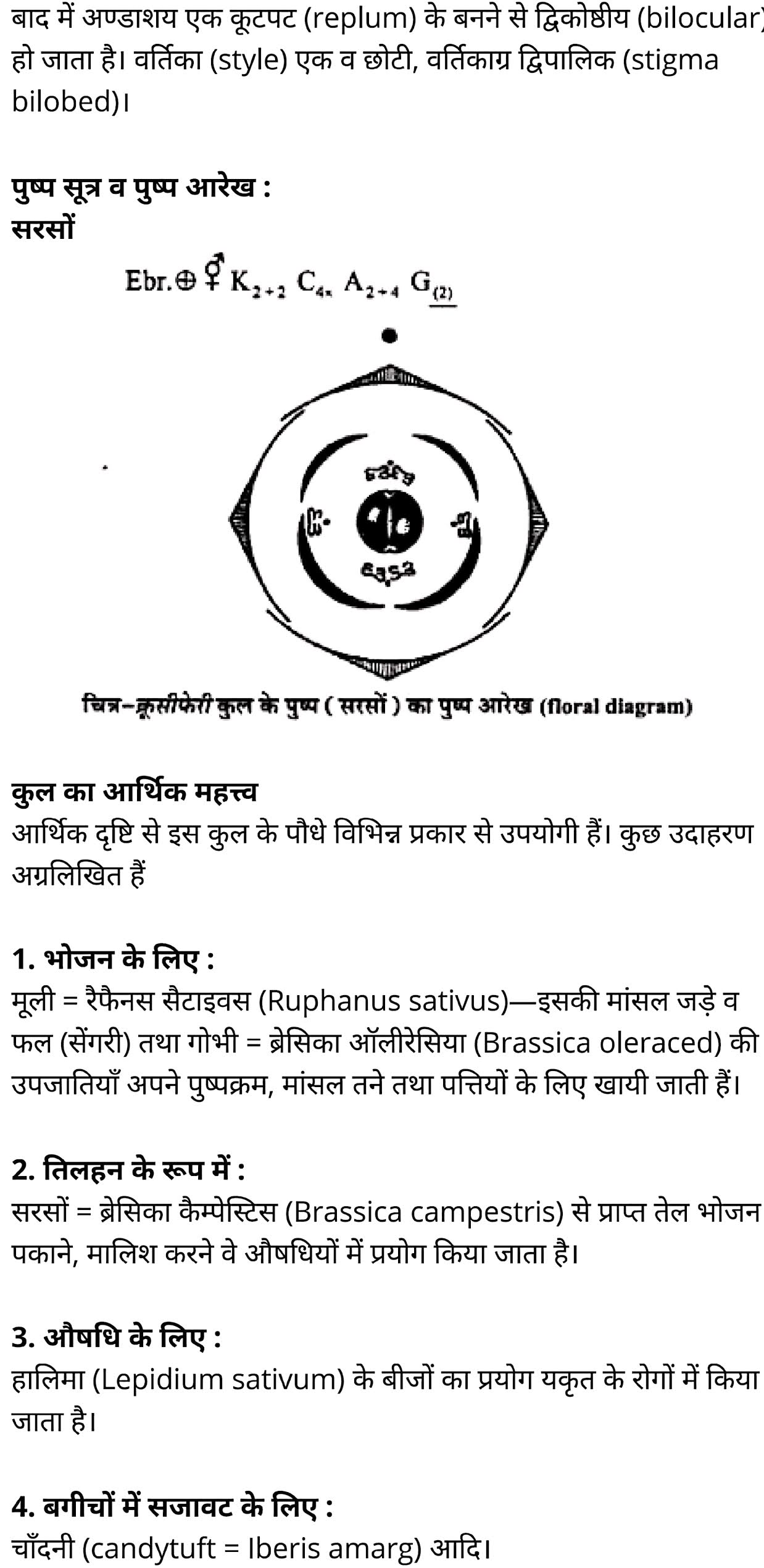 कक्षा 11 जीव विज्ञान अध्याय 5 के नोट्स हिंदी में एनसीईआरटी समाधान,   class 11 Biology Chapter 5,  class 11 Biology Chapter 5 ncert solutions in hindi,  class 11 Biology Chapter 5 notes in hindi,  class 11 Biology Chapter 5 question answer,  class 11 Biology Chapter 5 notes,  11   class Biology Chapter 5 in hindi,  class 11 Biology Chapter 5 in hindi,  class 11 Biology Chapter 5 important questions in hindi,  class 11 Biology notes in hindi,  class 11 Biology Chapter 5 test,  class 11 BiologyChapter 5 pdf,  class 11 Biology Chapter 5 notes pdf,  class 11 Biology Chapter 5 exercise solutions,  class 11 Biology Chapter 5, class 11 Biology Chapter 5 notes study rankers,  class 11 Biology Chapter 5 notes,  class 11 Biology notes,   Biology  class 11  notes pdf,  Biology class 11  notes 2021 ncert,  Biology class 11 pdf,  Biology  book,  Biology quiz class 11  ,   11  th Biology    book up board,  up board 11  th Biology notes,  कक्षा 11 जीव विज्ञान अध्याय 5, कक्षा 11 जीव विज्ञान का अध्याय 5 ncert solution in hindi, कक्षा 11 जीव विज्ञान  के अध्याय 5 के नोट्स हिंदी में, कक्षा 11 का जीव विज्ञान अध्याय 5 का प्रश्न उत्तर, कक्षा 11 जीव विज्ञान अध्याय 5 के नोट्स, 11 कक्षा जीव विज्ञान अध्याय 5 हिंदी में,कक्षा 11 जीव विज्ञान  अध्याय 5 हिंदी में, कक्षा 11 जीव विज्ञान  अध्याय 5 महत्वपूर्ण प्रश्न हिंदी में,कक्षा 11 के जीव विज्ञानके नोट्स हिंदी में,जीव विज्ञान  कक्षा 11 नोट्स pdf,