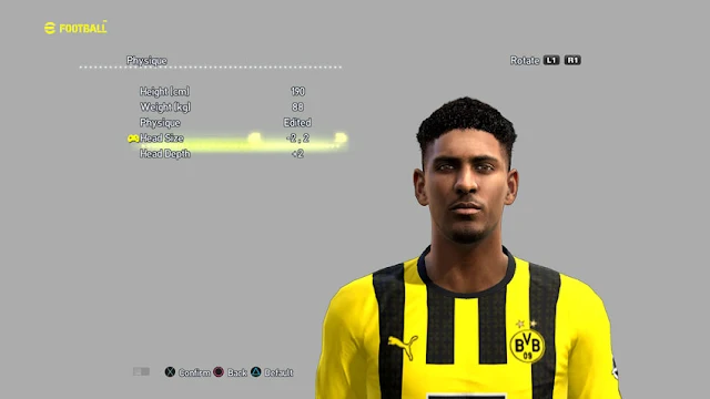 Sébastien Haller Face For PES 2013