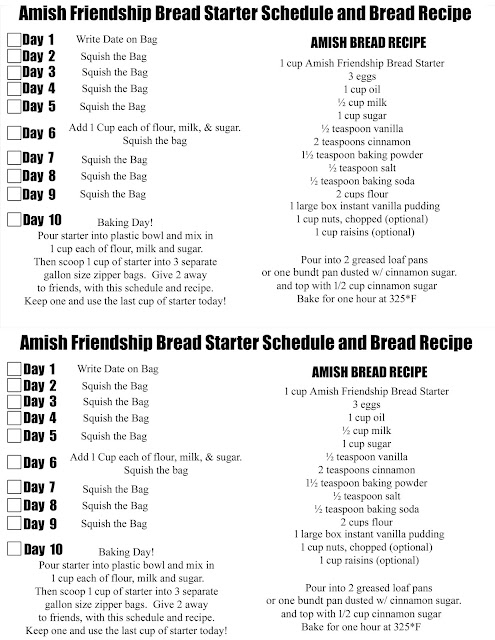 Amish Friendship Bread Starter and Recipe!