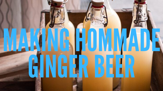 how to brew alcoholic ginger beer