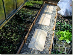Greenhouse1