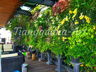 tukang taman surabaya dan jasa tukang taman surabaya