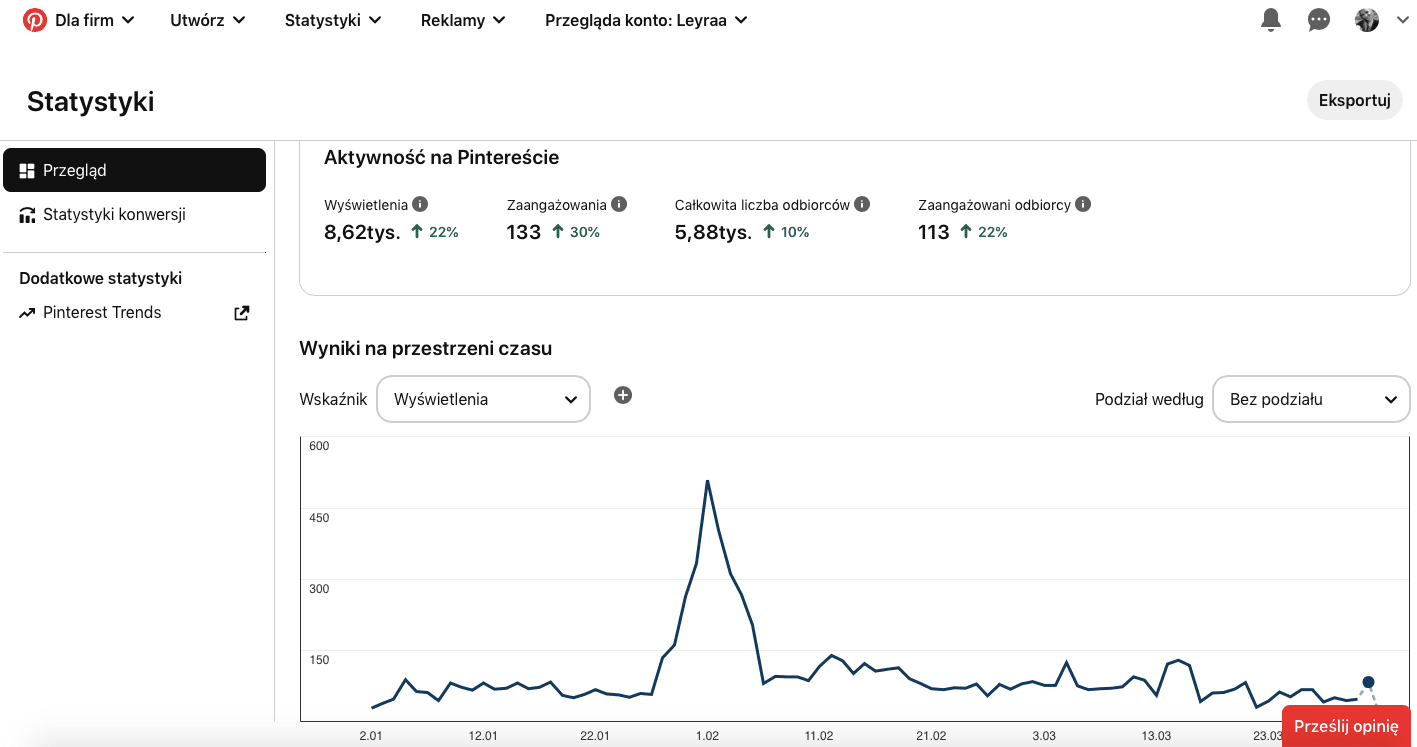 Leyraa Blog współpraca statystyki Pinterest