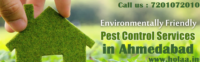 Pest Control Services in Ahmedabad