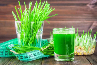 Health Benefits of Wheatgrass