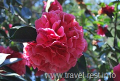 ParcoBotanico-026