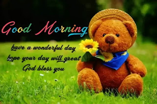 Good morning teddy bear images