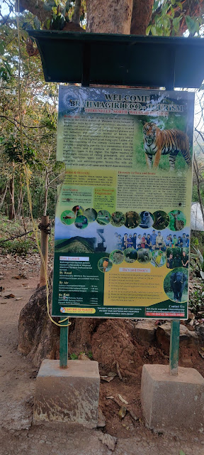 Brahmagiri Wildlife Sanctury