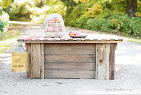 Old Barn Door Turned Coffee Table Bliss-Ranch.com