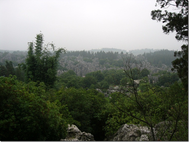 P1070636
