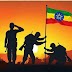#EthiopiaPrevails #ENDF