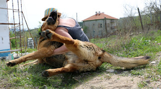 A wrestling Rambo who is loving the attention he's getting