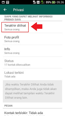 cara agar tidak terlihat saat online