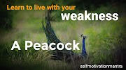 Learn to Live With Your Weakness | Short Story of A Peacock