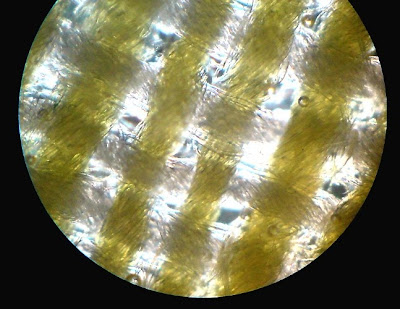 Cotton Cloth. Magnification - 100 Times