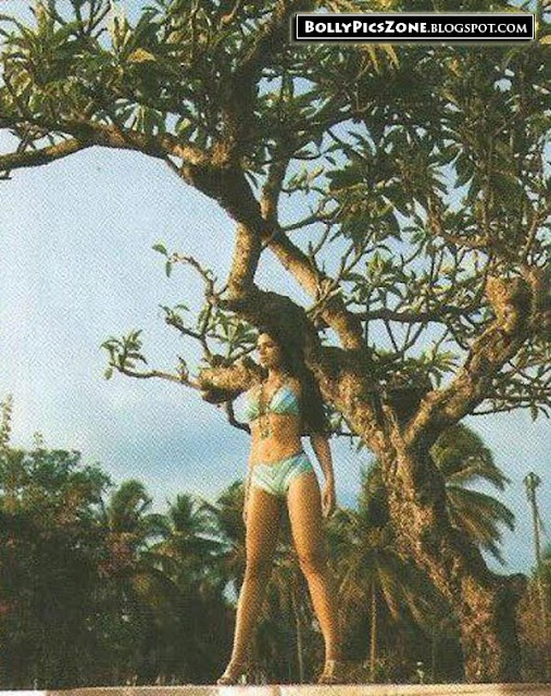 Sameera Reddy Hot Bikini Pic - Sameera Reddy Hot Bikini Pics