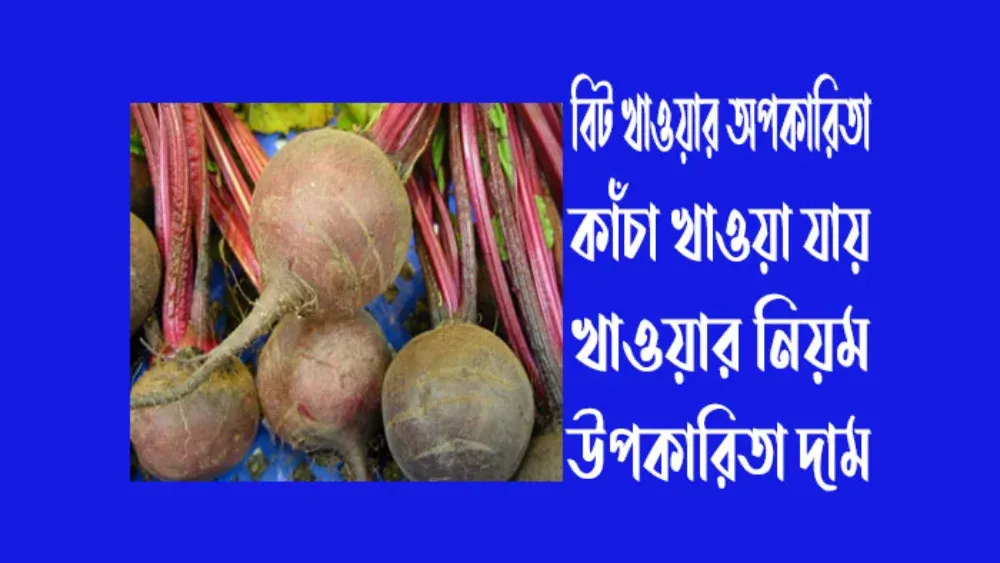 বিট খাওয়ার অপকারিতা কাঁচা খাওয়া যায় খাওয়ার নিয়ম উপকারিতা দাম