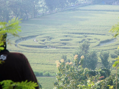 Foto Crop Circle Di Indonesia