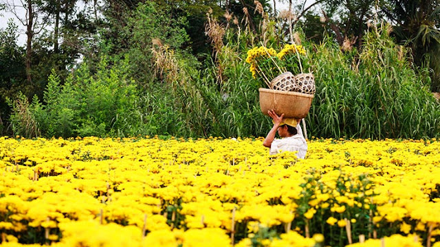 Sa Dec Flower Gardens in Mekong delta, Vietnam 1