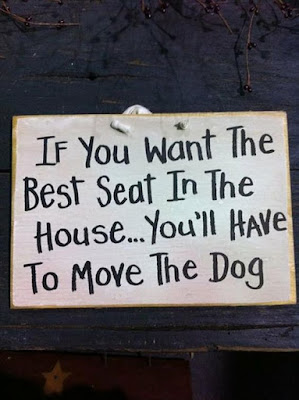 Dog Humor : Move the dog please