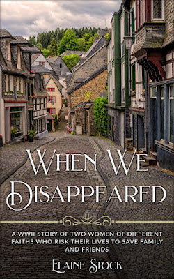 book cover of historical fiction novel When We Disappeared by Elaine Stock