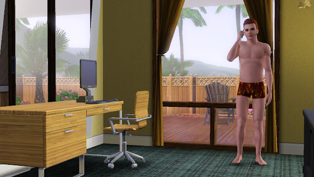 the sims 3