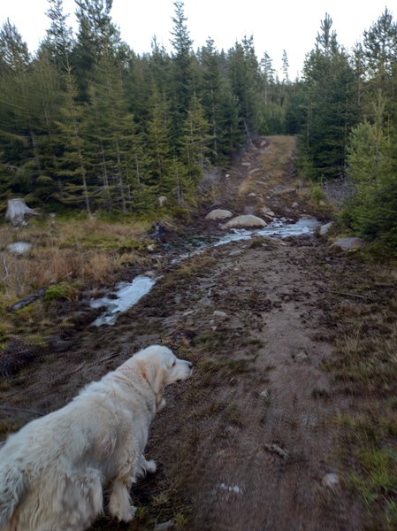 kalvehaugen brovoll fjelltoppjakten