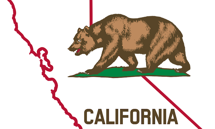 Flag Map of California