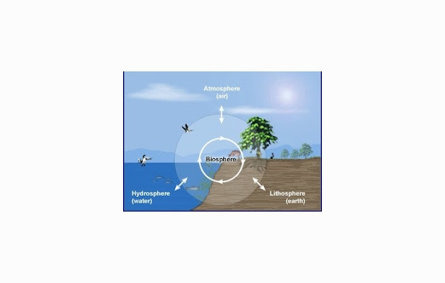  Secara bahasa biosfer berasal dari bahasa Yunani Biosfer : Pengertian dan Faktor yang Mempengaruhinya