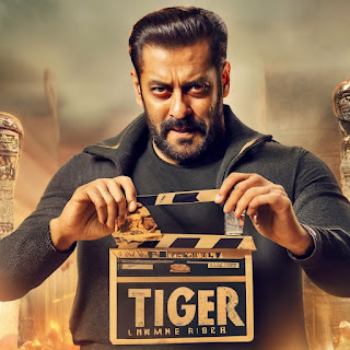 Tiger 3 Collection Worldwide 3 Days: A Box Office Sensation
