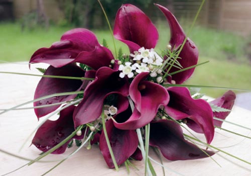Bouquet Bridal Black Calla