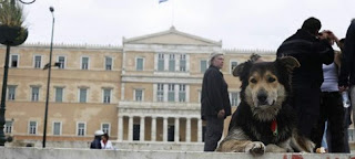 Πόλεμος φιλόζωων-κυβέρνησης για τα 